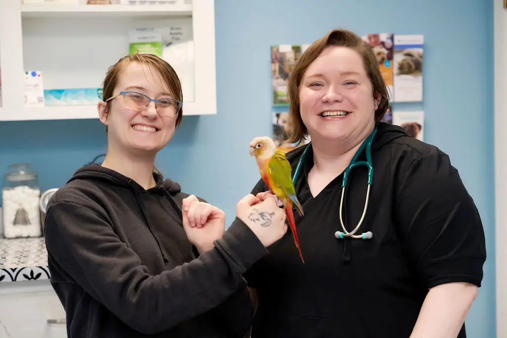 Veterinary staff holding a colorful pet parrot during a visit at Brandermill Animal Hospital.